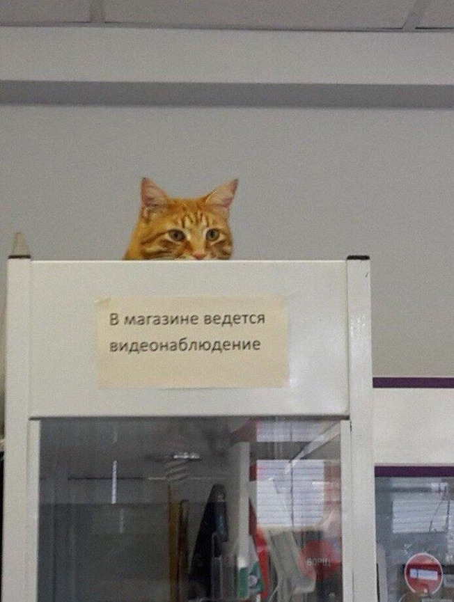 no-context-russia-pics