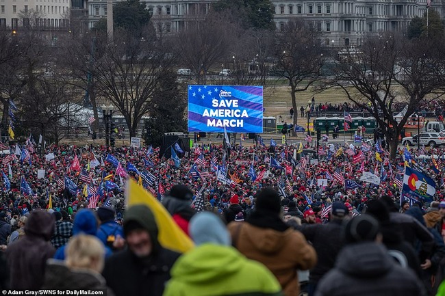 Trump_supporters_gather_near_the_White_House