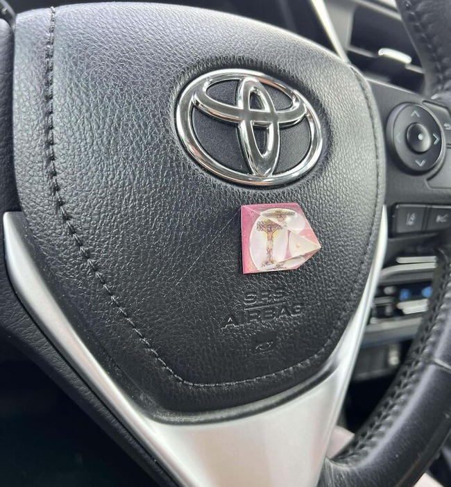 67f3a162a13f0_people-photographed-something-dangerous