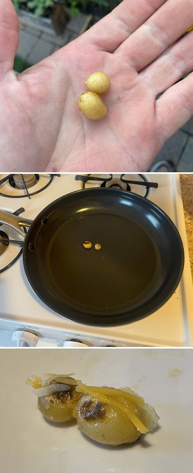 68dd0b5f2ec15_funny-harvesting-p