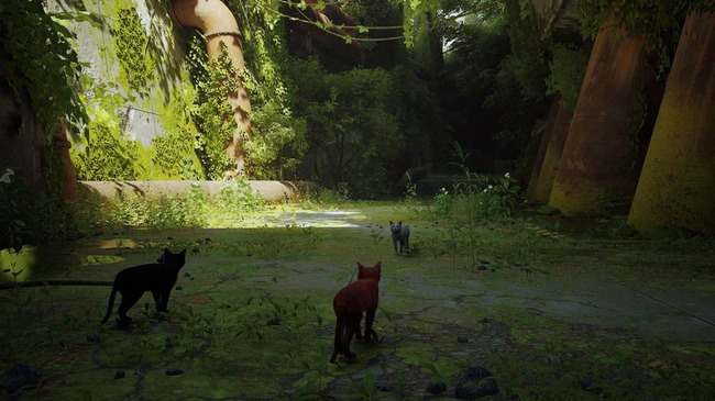 1658247291197494 (1)