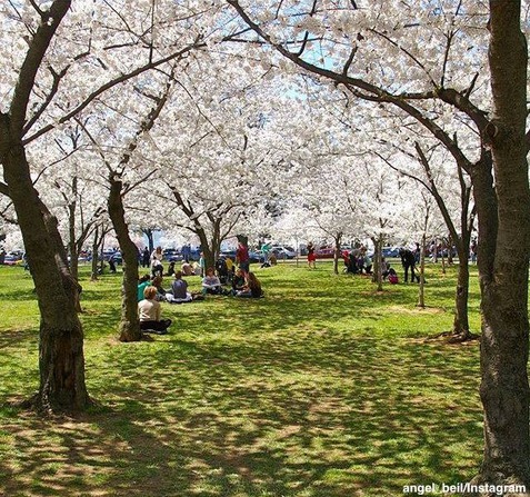 1918959_10154249165833812_3979762392603149165_n