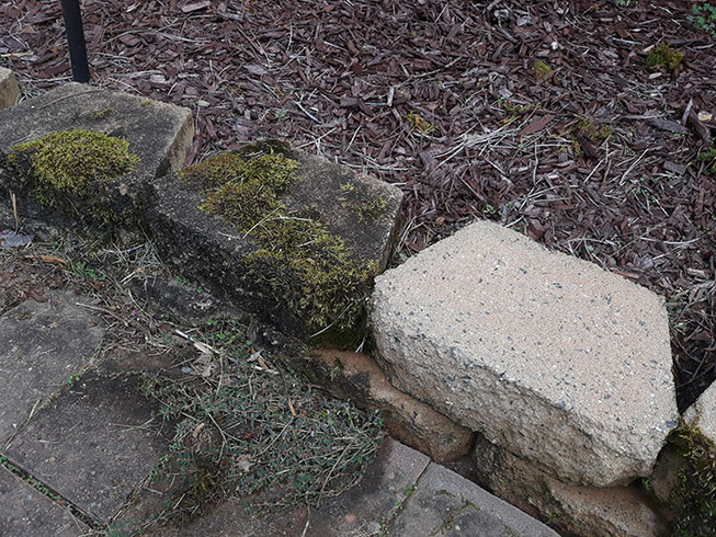 before-after-power-washing-510-5d9c45a622156__700