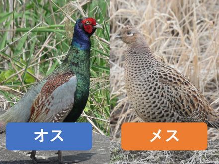 1784491167171232