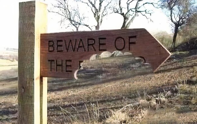 67ea92fd9e951_hilarious-warnings-disclaimers