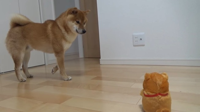 4205230a-ffe1-4b9d-9258-e3b1dd9b9f5b