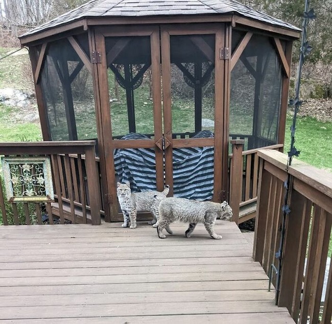 view-from-your-window-12-642a9a455d09c__700 (2)