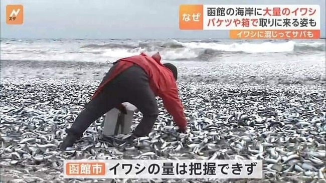 409057674_403821561979536_6559200115572313064_n