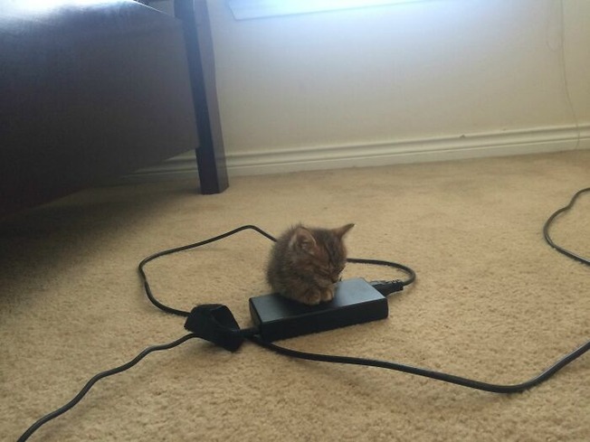 4pC2a7n-601136a8f085c__700