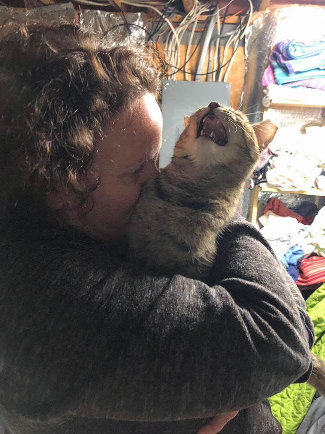 cats-say-no-cuddles-224-6036605ba60a7__700