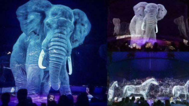 the-best-food-i-had-in-12-days-a (4)