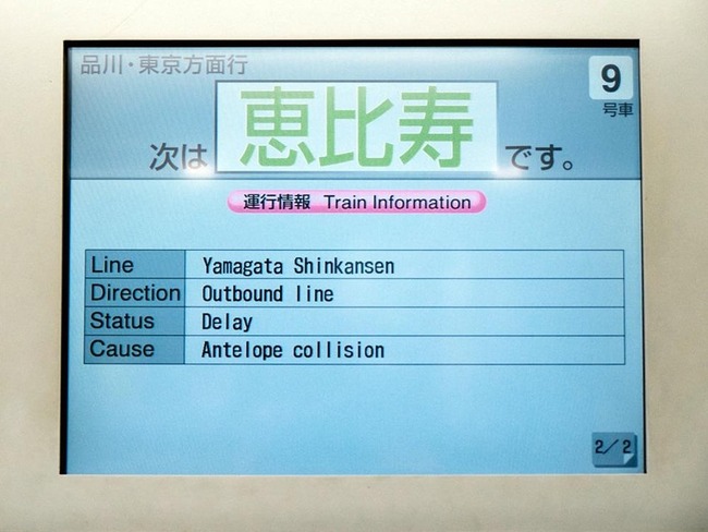 409452266_404507141910978_7648991917285494609_n