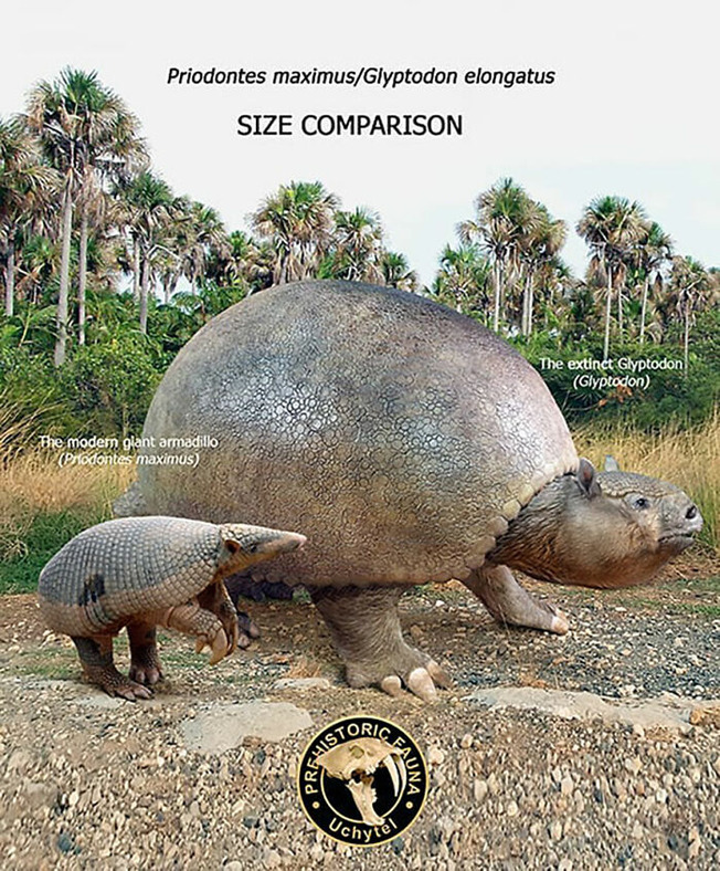 size-of-long-extinct-animals-with-their-modern-relatives