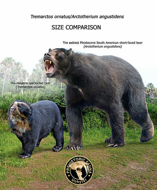 size-of-long-extinct-animals-with-their-modern-relatives