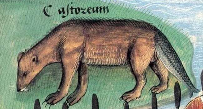 bad-medieval-animal-paintings-7-66d585b2186bd__700