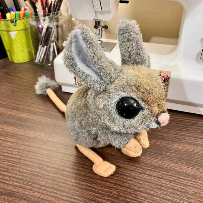 69-676559b9c6678__700