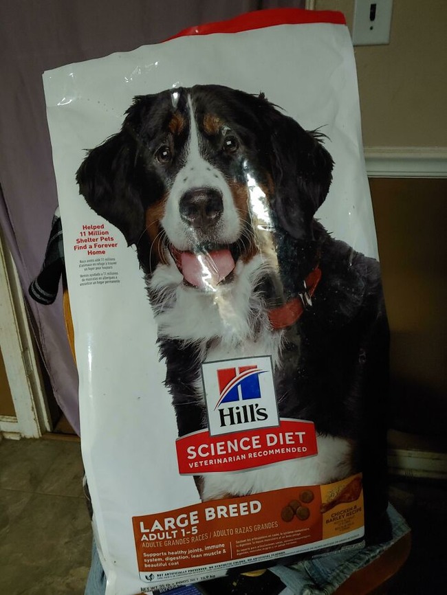 62c6e6998e0b7_nc9rb428mfl81__700