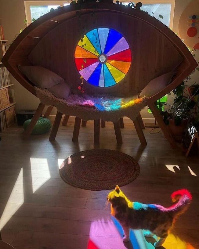 CO0Mc9djd3D-png__700