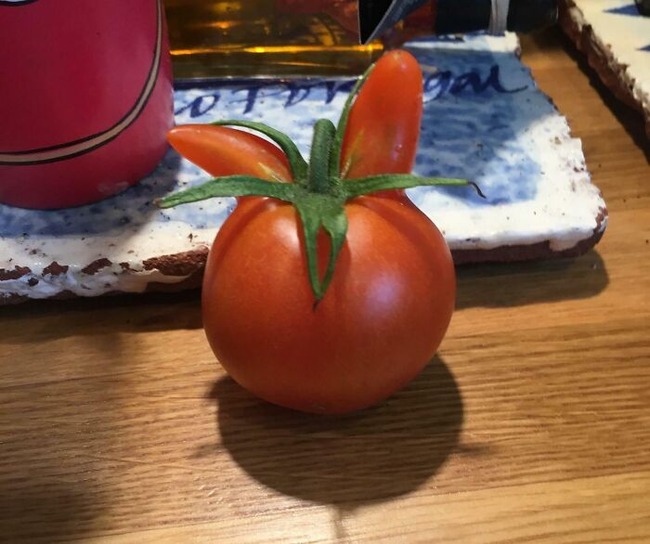 6786543ddb093_pareidolia-pictures