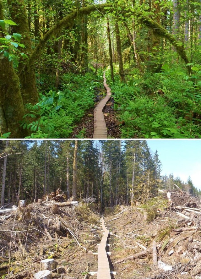 68a75045caf58_interesting-comparing-pics__700