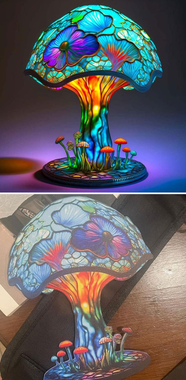 disappointing-online-shopping-fails-98-65a11d6499744__700