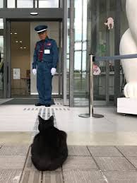 ダウンロード