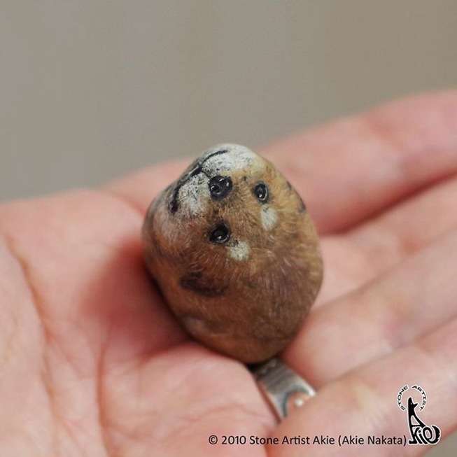 This-Japanese-artist-turns-stones-into-art