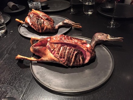 12 - 039Wild duck and matsubusa berries039