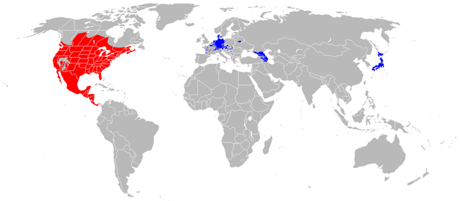 1546989119847