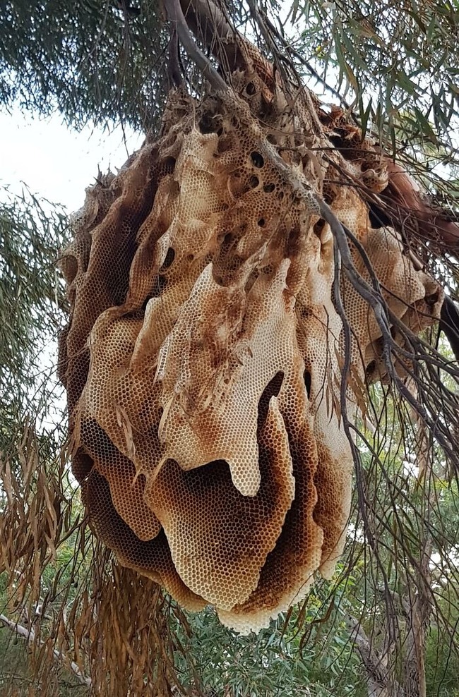 67e6840c6c74d_mind-blowing-photos