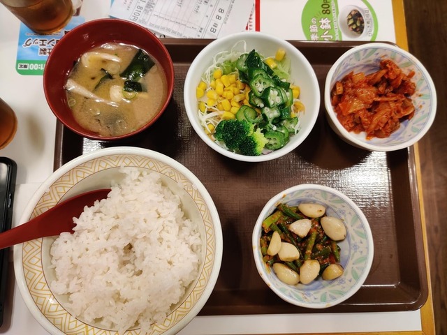 food-i-had-as-a-vegetarian-in-ja (11)