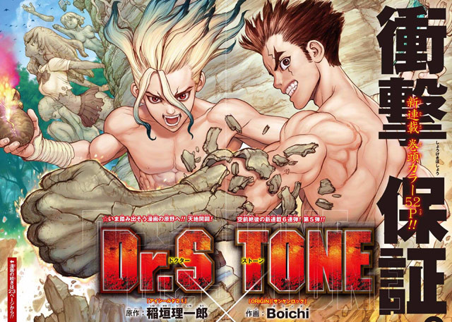 Drstonetop