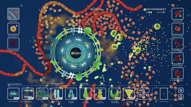 ss_4e12e92f17ea40cf2cadd154ae222