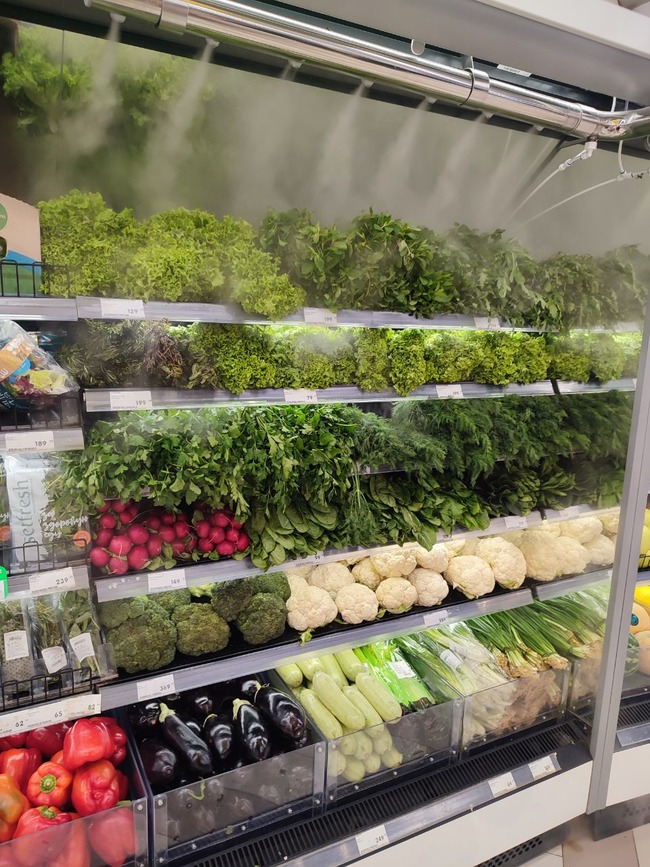 1679425291573744 (1)