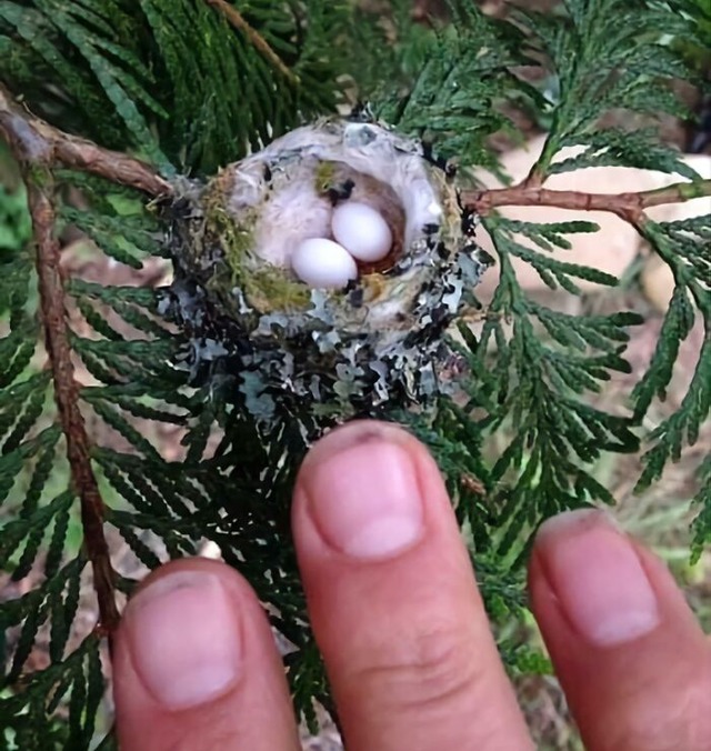 68a75159d765c_interesting-comparing-pics__700