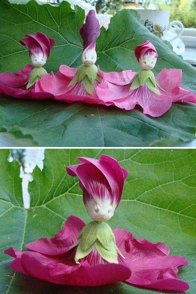 funny-pareidolia-examples-58-5e45272d47044__700