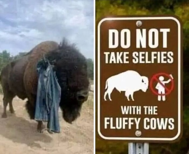 67e565398038f_hilarious-warnings-disclaimers