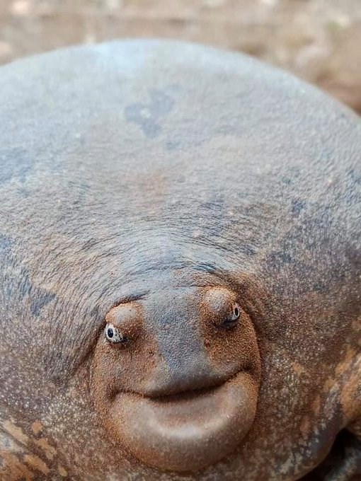 135798632_10161255742141840_3600518068112340014_n