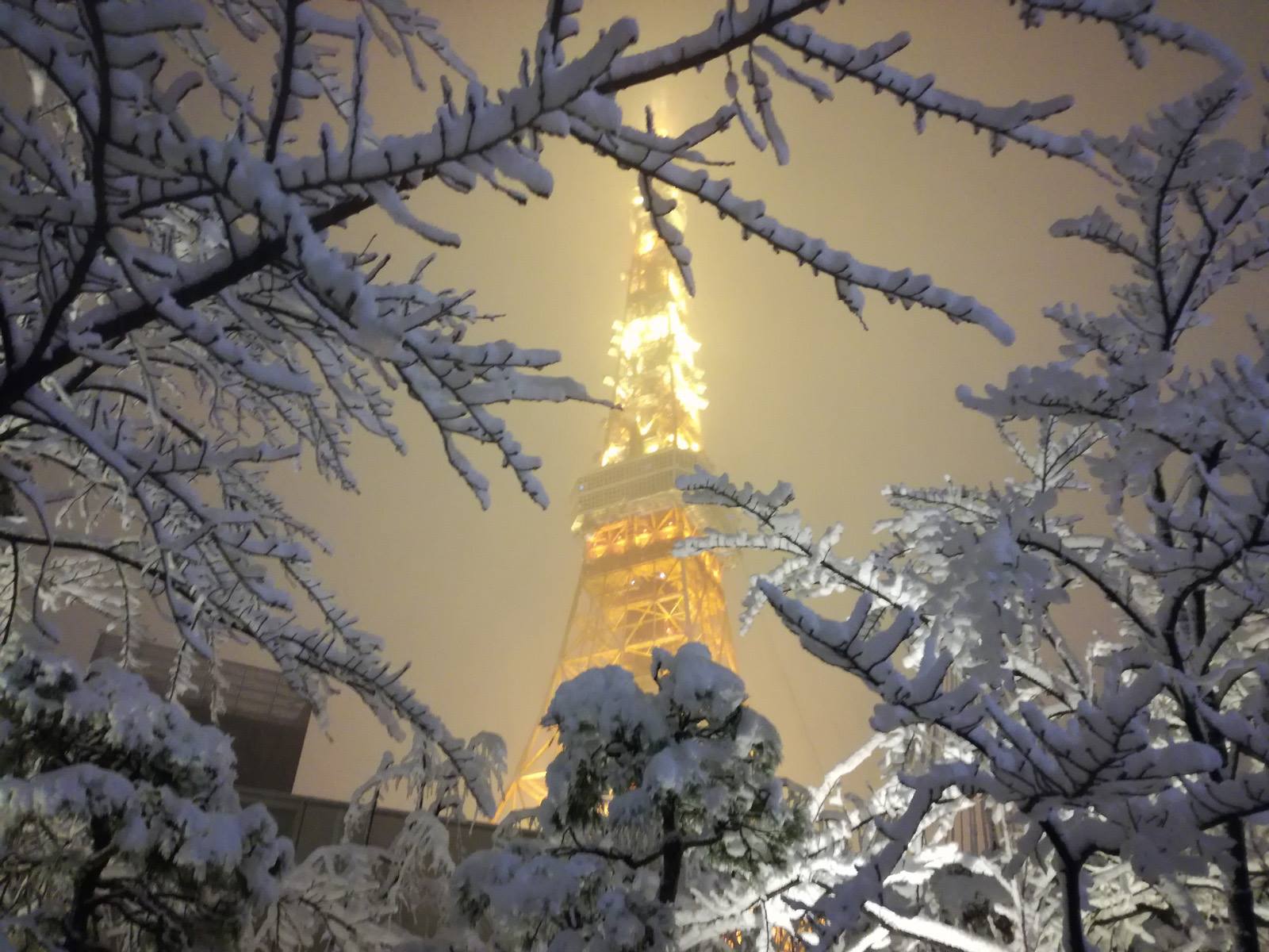 東京 から 雪 を 見 に 行く