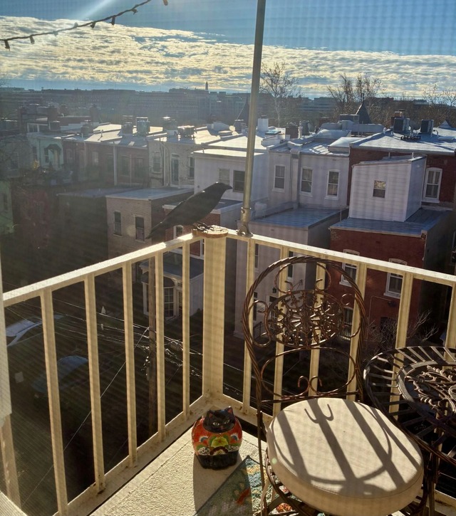 photos of your neighborhood that you took