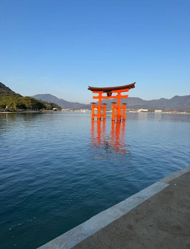 582972734_10239076860690899_3793