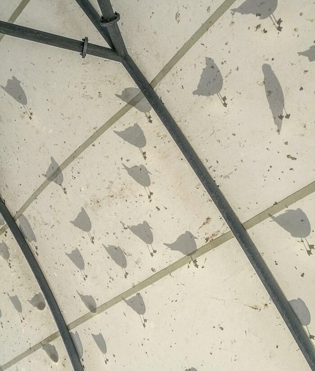 6851023dab1d8_interesting-shadow-optical-illusion-pics