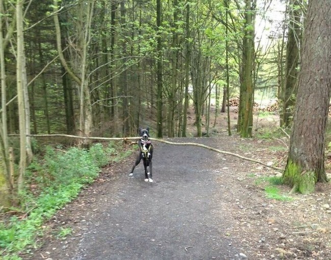 63725eca5b4f9_yiv5aeq7run91__700