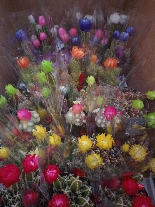 62c6e2fd8d7a1_s0em7seaqso81__700