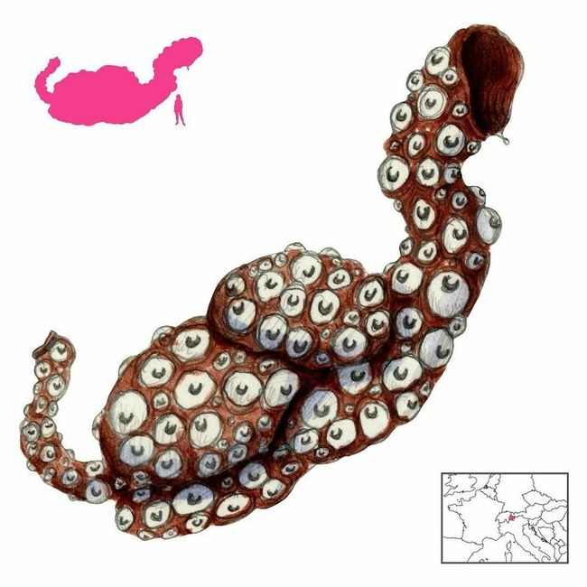 CXs6ZQ9Mx_h-png__700 (1)