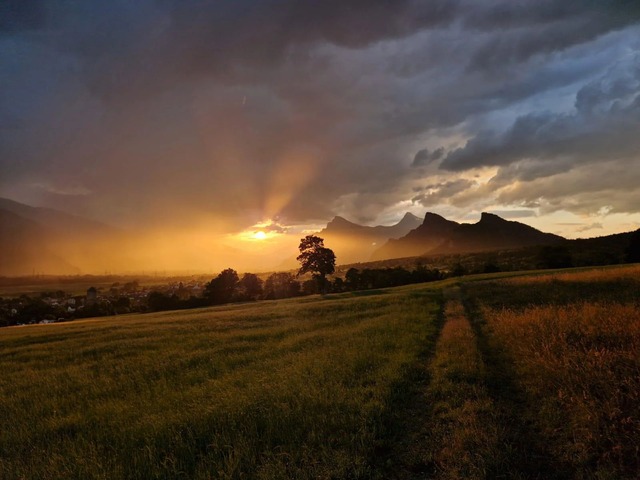 photos of your neighborhood that you took