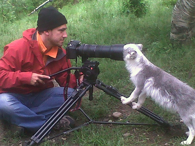 animals-disturbing-photographers-pics-30-685c036068a85__700