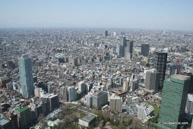 normal_tokyo_metropolitan_building_IMG_1874