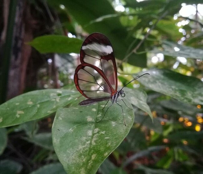 67e2b75167c1e_generated-image