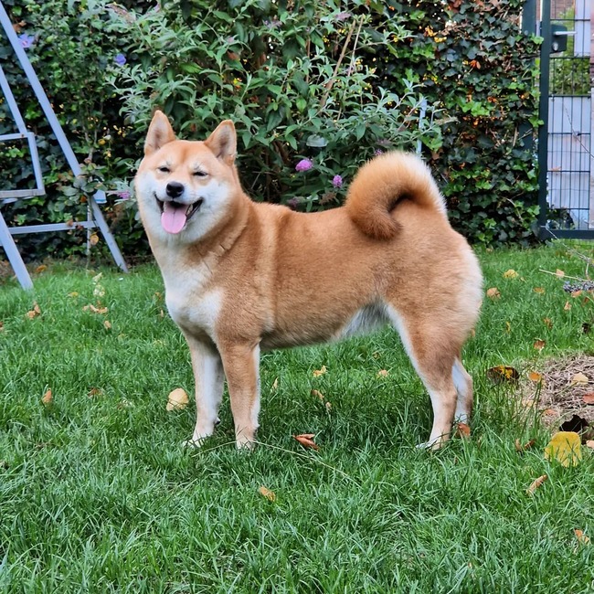 313368682_10222150375364134_5931960319998149706_n